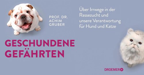 Buchpremiere "Geschundene Gefährten" mit Prof. Dr. Gruber